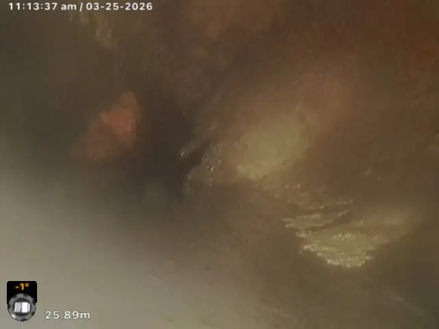 CCTV still from the Mandurah job at 25.89 metres: tree roots and debris inside the shared sewer line.