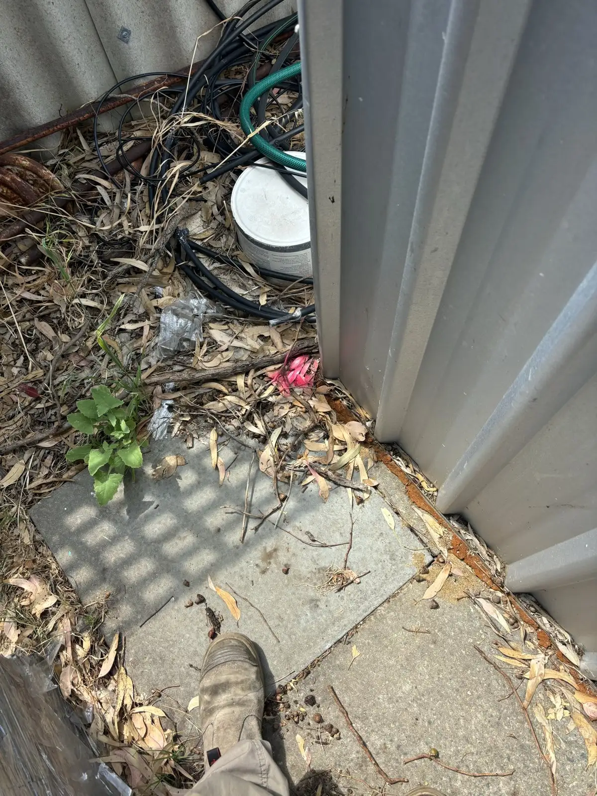 A sewer inspection shaft cap beside a shed in Safety Bay, marked with pink paint before the camera inspection.